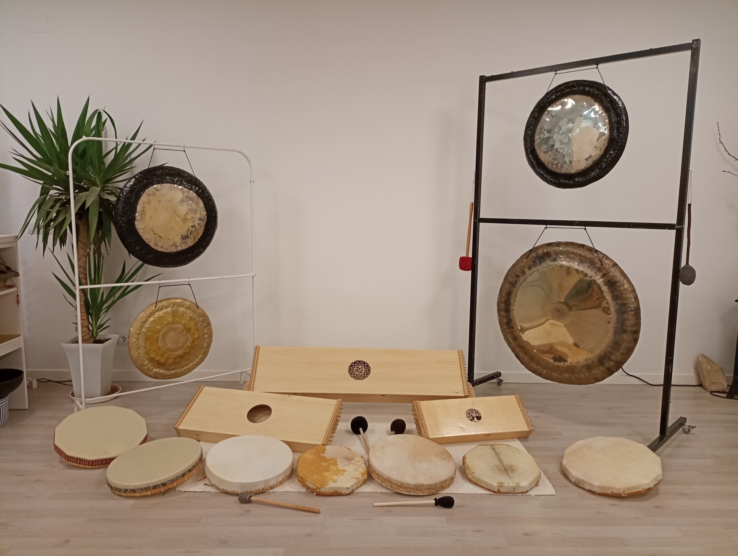 Venta de Gong, tambores chamánicos, monocordios...